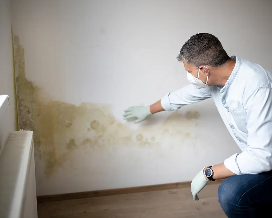 A man inspecting mold on the walls
