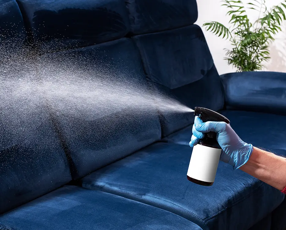 Person cleaning the couch